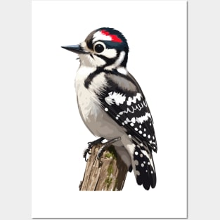 Downy Woodpecker Bird Posters and Art